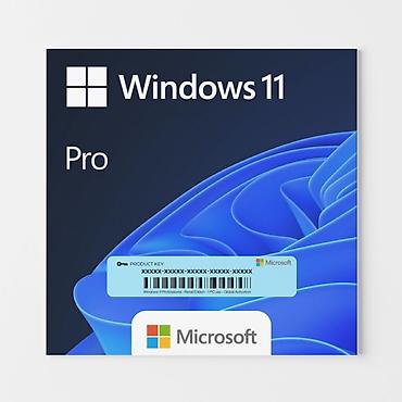 addim olcən proqram: Microsoft Windows 10/11 Professional – rəqəmsal lisenziya açarı — 3