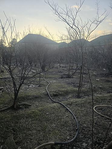 Torpaq sahələrinin satışı: 16 sot, Tikinti — 11