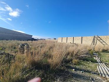 Torpaq sahələrinin satışı: 100 sot, Kupça (Çıxarış) -da lalafo.az — 6 Torpaq sahələrinin satışı: 100 sot, Kupça (Çıxarış) — 6