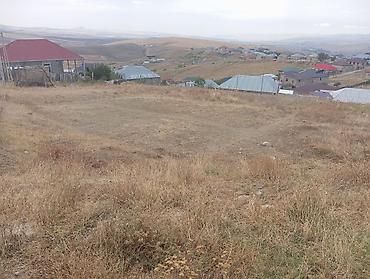 Torpaq sahələrinin satışı: Tikinti — 1