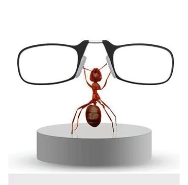 Eynəklər: Optik eynək, Yeni — 2