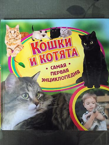 Книга «Кошки и котята. Самая первая энциклопедия» - Иллюстрированное at lalafo.kg Книга «Кошки и котята. Самая первая энциклопедия» - Иллюстрированное