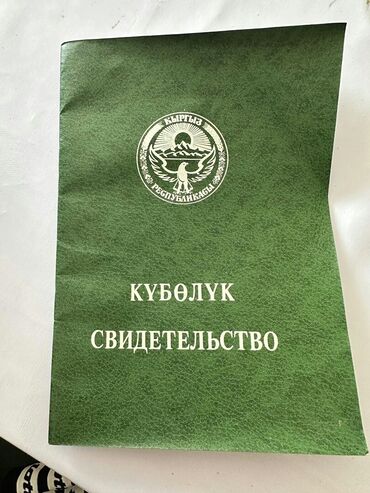 продажа частных домов бишкек: 300 соток, Бизнес үчүн, Техпаспорт