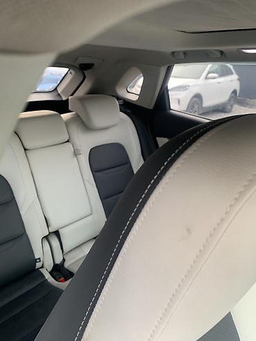 Roewe: Roewe : 2021 г., Электромобиль, Кроссовер — 7