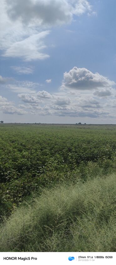 дом аренда: 257 соток Для сельского хозяйства