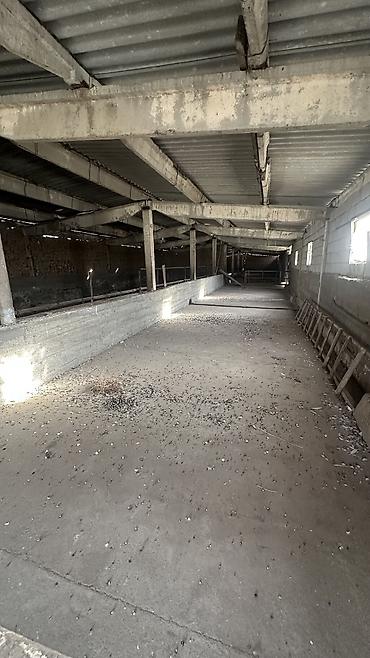 Продажа сельхоз предприятий: Кошара, 30 соток, Действующий, С оборудованием, Холодная вода, Скважина, Электричество — 7