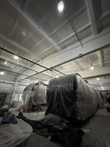 Покраска: Покраска стен, Покраска потолков, Покраска дверей, На масляной основе, На водной основе, Больше 6 лет опыта — 20