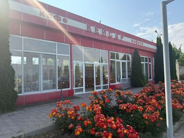 кафель для пола цена бишкек: Талап кылынат Официант 1-2-жылдык тажрыйба, Төлөм Бир айда эки жолу