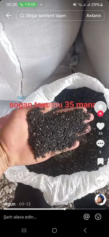 Toxumlar: Sogan toxumu