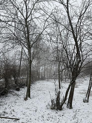 Torpaq sahələrinin satışı: 20 sot, Tikinti, Barter mümkündür, Kupça (Çıxarış) — 2