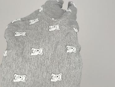 cotton traders bluza: Cotton Traders, Damska koszulka polo, rozmiar M — 6