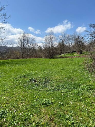 Torpaq sahələrinin satışı: 20 sot, Kənd təsərrüfatı, Mülkiyyətçi, Kupça (Çıxarış) — 3