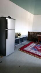 долгосрочная аренда квартир аламедин: 1 комната, Агентство недвижимости, Без подселения, С мебелью полностью