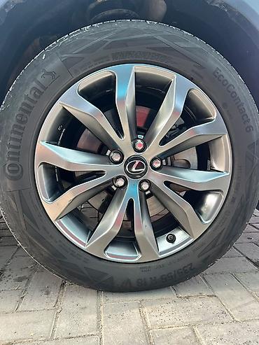 Lexus: Lexus NX: 2020 г., 2 л, Автомат, Бензин, Кроссовер — 15