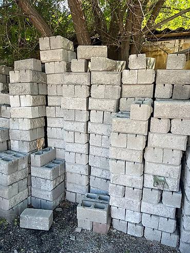 цветы фикусы: Звонить по этому номеру: Малыш пескоблоки рванные Есть все цвета — 3