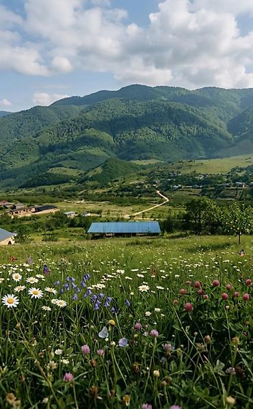 yasamal rayonu: 20 sot, Tikinti, Mülkiyyətçi, Kupça (Çıxarış) — 3