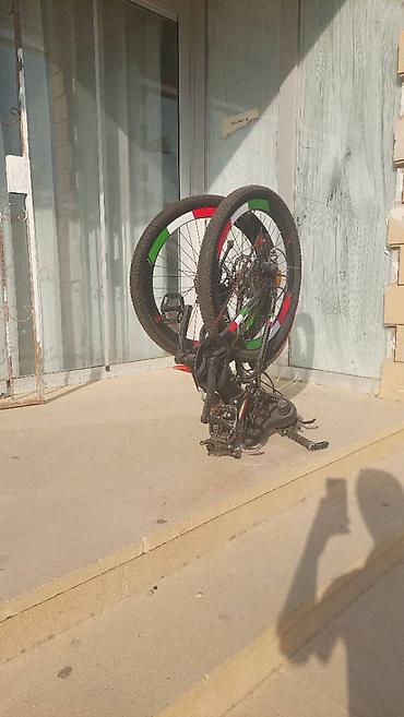 adidas velo: Salam melumat ücün whatsappda yiğa bilesiz RIYAL ALICYA ENDIRIM — 3