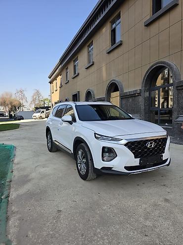 prius plus: Hyundai Santa Fe: 2019 г., Автомат, Дизель — 2