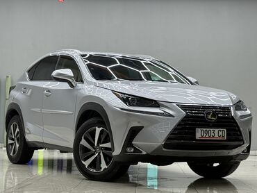датчик положения дроссельной заслонки опель вектра б: Lexus NX: 2019 г., 2 л, Автомат, Бензин, Кроссовер