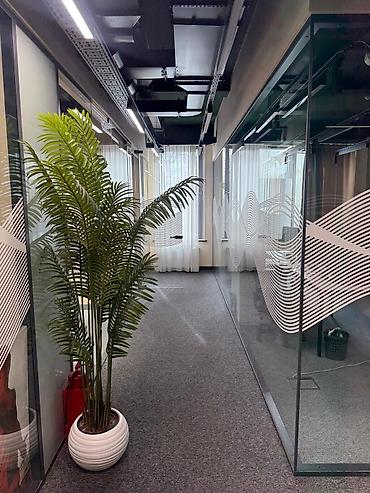 Перегородки на заказ: На заказ Цельностеклянная перегородка, Для офиса, Бронированное стекло, Монтаж, Демонтаж, Бесплатный замер — 25