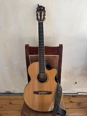 dgi mikrofon: Ibanez elektro-klassik gitara Mikrafon çexol şunur kapo kemer hediyye — 1