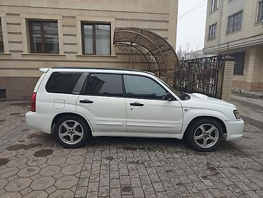 Subaru: Subaru Forester: 2003 г., 2 л, Автомат, Бензин, Универсал — 7