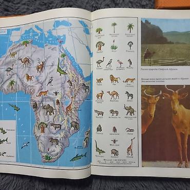 Другие книги и журналы: Книги. Три больших энциклопедии. Состояние хорошее, все страницы на — 5