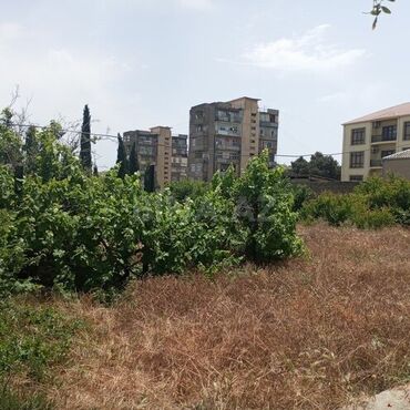 Torpaq sahələrinin satışı: 16 sot, Tikinti, Mülkiyyətçi, Kupça (Çıxarış) — 8