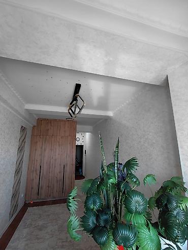 Продажа квартир: 1 комната, 22 м², Индивидуалка, 7 этаж, Евроремонт — 7