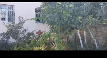 Uzunmüddətli kirayə evlər: 120 kv. m, 4 otaqlı, Kombi, Qaz, İşıq -da lalafo.az — 16 Uzunmüddətli kirayə evlər: 120 kv. m, 4 otaqlı, Kombi, Qaz, İşıq — 16