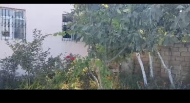 Uzunmüddətli kirayə evlər: 120 kv. m, 4 otaqlı, Kombi, Qaz, İşıq -da lalafo.az — 4 Uzunmüddətli kirayə evlər: 120 kv. m, 4 otaqlı, Kombi, Qaz, İşıq — 4