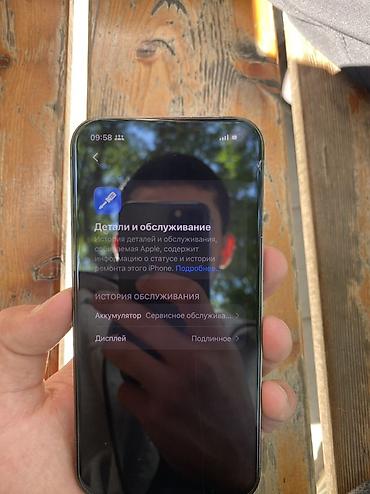 Apple iPhone: IPhone 13 Pro, Б/у, 256 ГБ, Alpine Green, 77 % — 10