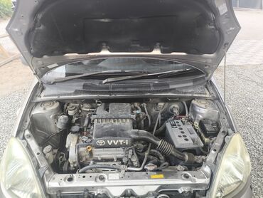 тойота пассо цена в бишкеке: Toyota Vitz: 2003 г., 1.3 л, Вариатор, Бензин