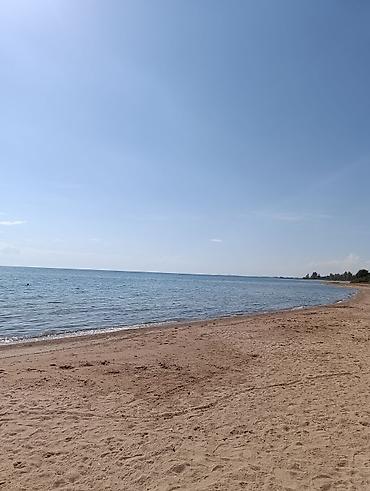 кфартира: Студия, 25 м², Индивидуалка, 1 этаж, Свежий ремонт — 1
