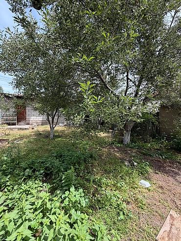 слив пантеры с коттеджа: 4 комнаты, 95 м², 7 соток, Гавриловка, Агентство недвижимости — 4