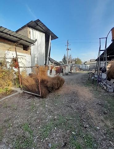 Продажа участков: 32 соток, Красная книга at lalafo.kg — 2 Продажа участков: 32 соток, Красная книга — 2