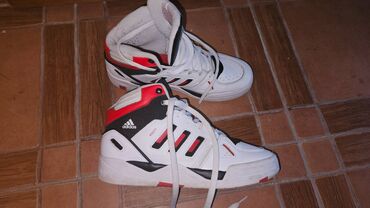 obuca vranje: Patike, Adidas, veličina - 42.5