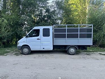 e53 amg: Mercedes-Benz Sprinter (первое поколение, двойная кабина) с — 4