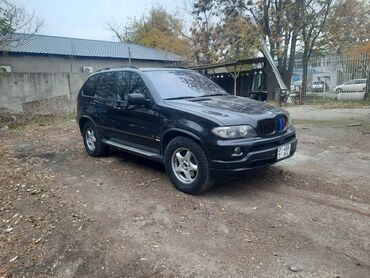 голыф 4: BMW X5: 2003 г., 4.4 л, Автомат, Бензин, Внедорожник