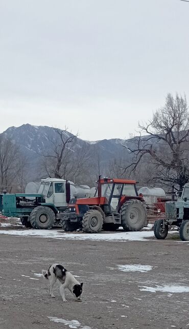 Тракторы МТЗ (Беларус): Модель: Другие тракторы МТЗ, Б/у, 2000 г., Трактор с другими агрегатами — 3