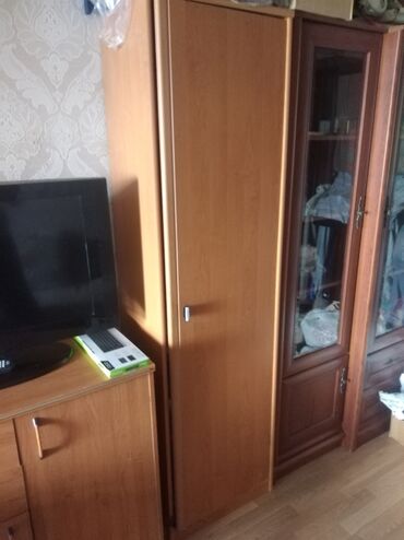 Распашной, 1 дверь Прямой шкаф, Шифоньер