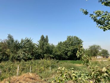 Продажа домов: Дом, 120 м², 5 комнат, Собственник at lalafo.kg — 8 Продажа домов: Дом, 120 м², 5 комнат, Собственник — 8