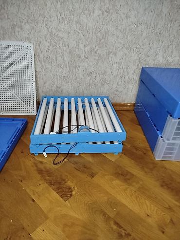 Avtomobil akkumulator zaryadkalari: 128 yumurta tutumlu inkubator. 3 dəfə istifadə olunub 128 yumurtadan — 6