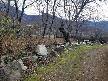 Torpaq sahələrinin satışı: 9 sot, Tikinti, Mülkiyyətçi, Kupça (Çıxarış) — 16