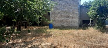 Bağ evlərinin satışı: Bakı, Saray, 100 kv. m, 3 otaqlı, Hovuzlu, İnternet, Qaz, İşıq — 14