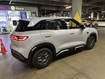 JMEV: JMEV : 2024 г., Автомат, Электромобиль, Кроссовер — 4