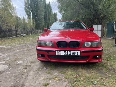 шины сапок: BMW 5 серии E39, седан, ярко‑красный цвет. Кузов и экстерьер: -