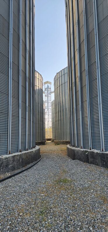 Бочки и ёмкости: Силос Сило Силас Зернохранилище Элеватор Элеваторы Элеватар Элеватары — 3