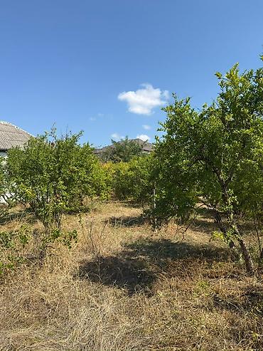 Həyət evləri və villaların satışı: 3 otaqlı, 72 kv. m — 17
