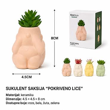 KMT Mala saksija sa sukulentom 702312 Dekorativna mini saksija sa